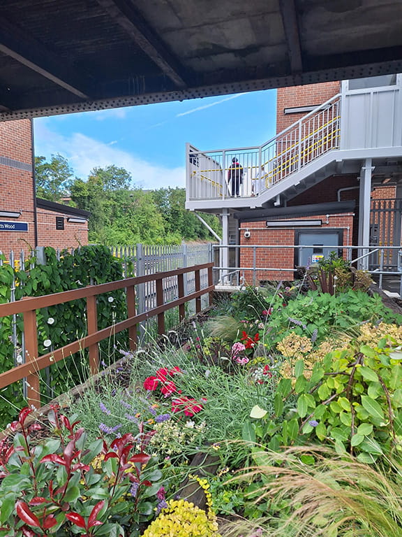 Wildflower garden at Petts Wood Station