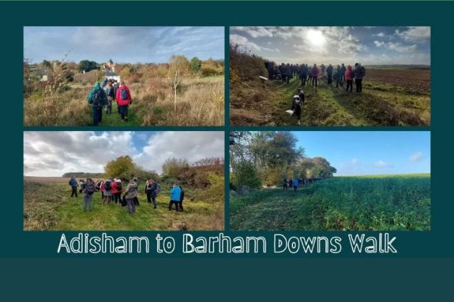 Adisham to Barham Downs Walk